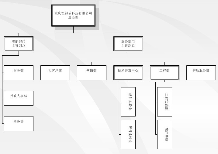 重慶恒得瑞科技有限公司,組織結(jié)構(gòu)圖